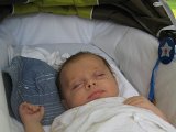 IMG_0029_tesoriera.JPG