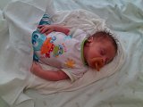 IMG_20120718_155549.jpg
