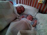 IMG_20120814_072645.jpg